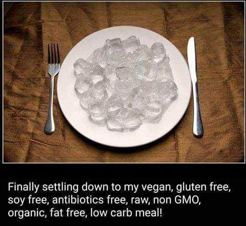 ice cube dinner - Finally settling down to my vegan, gluten free, soy free, antibiotics free, raw, non Gmo, organic, fat free, low carb meal!