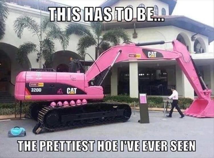 memes - pink heavy equipment - This Has To Be. 3200 Cat The Prettiest Hoe Ive Ever Seen