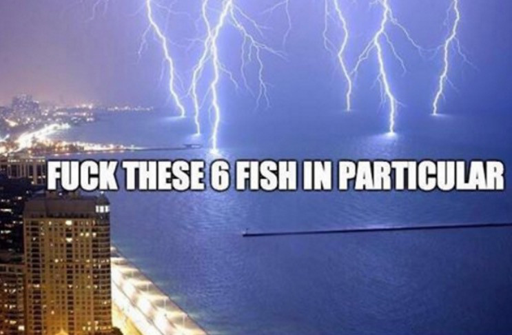 memes - fuck these 4 fish - Fuck These 6 Fish In Particular