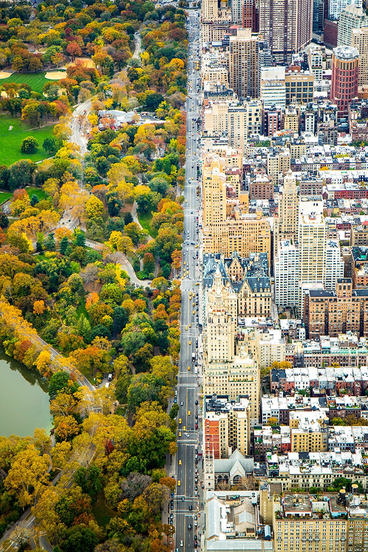 central park and new york