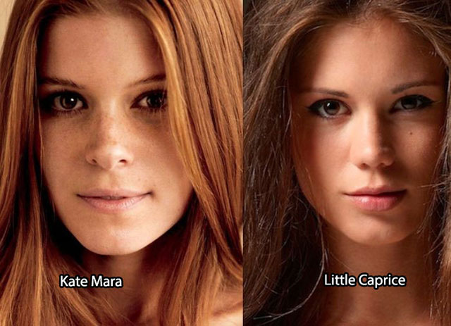 50 Porn Star Look-A-Likes of the Most Famous Celebrities!