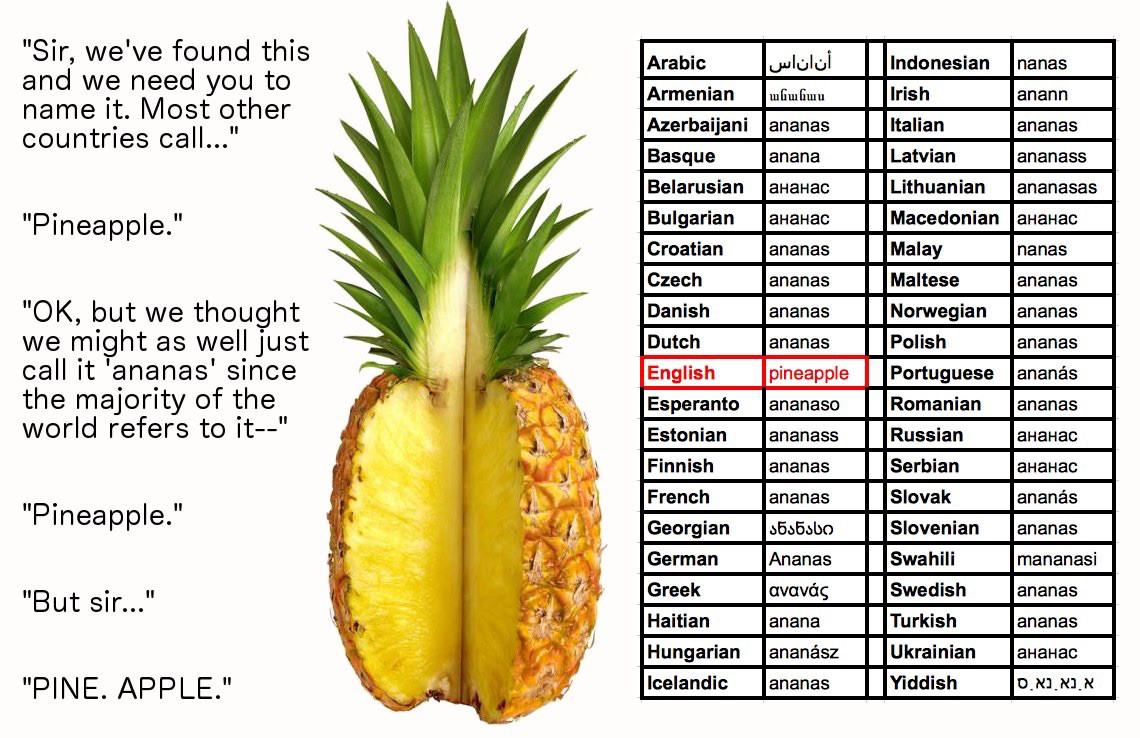 pineapple ananas meme - Indonesian "Sir, we've found this and we need you to name it. Most other countries call..." Irish nanas anann ananas Italian Latvian ananass "Pineapple." "Ok, but we thought we might as well just call it 'ananas' since the majority