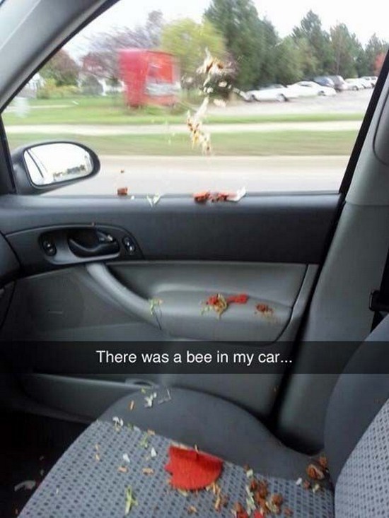 funny snapchat there was a bee in my car - There was a bee in my car...