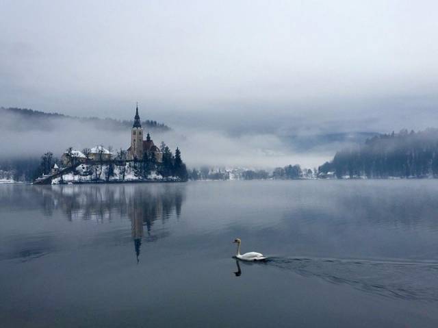 fascinating photo Lake Bled