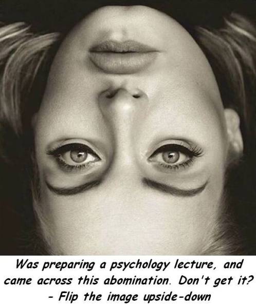 adele upside down meme - Was preparing a psychology lecture, and came across this abomination. Don't get it? Flip the image upsidedown