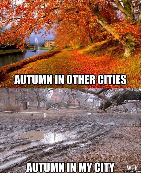 autumn meme about how it is supposed to look in most cities vs all muddy and gross in OP's city