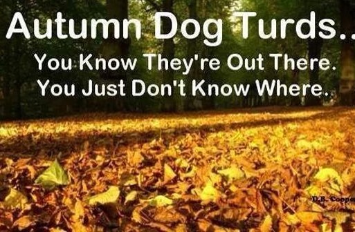 funny fall meme about autumn dog turds