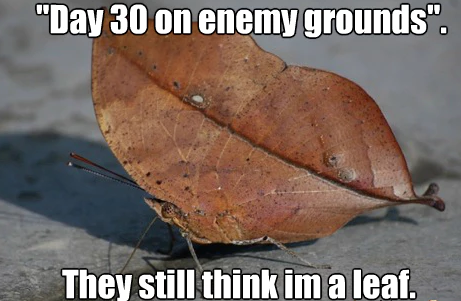 fall meme about bug leaf