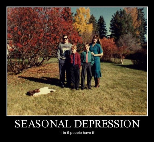 funny picture made into demotivational poster about seasonal depression