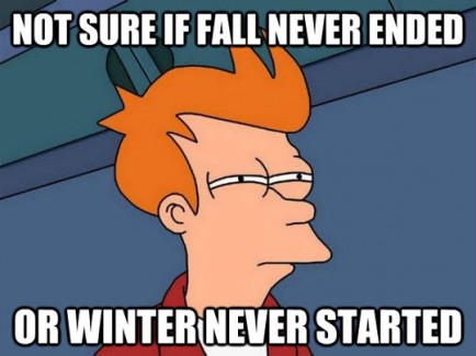no sure fry meme about fall ending or winter starting