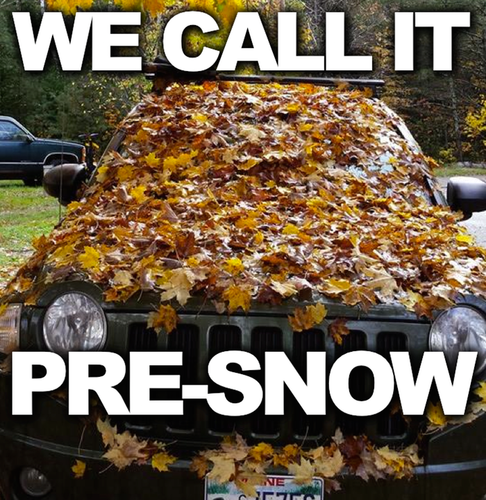 meme about fall leaves being the winter pre snow