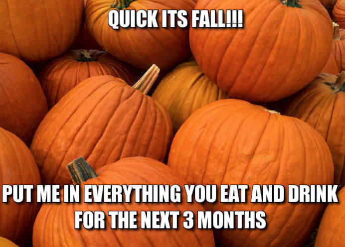 meme about how everything has pumpkin spice in the fall