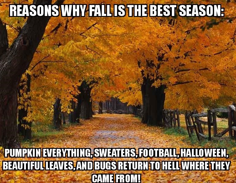 wholesome meme about why autumn is awesome