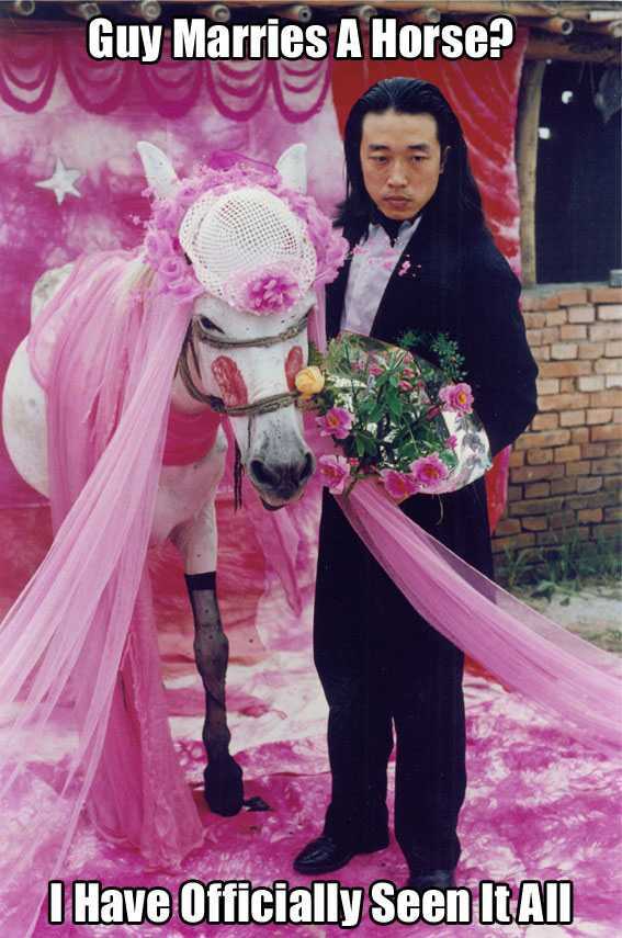 guy marrying a horse - Guy Marries A Horse? As I Have Officially Seen It All