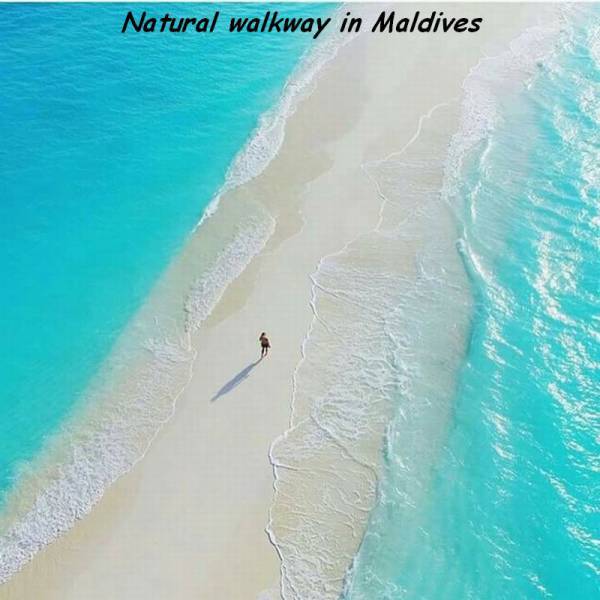 maldives walkway beach - Natural walkway in Maldives