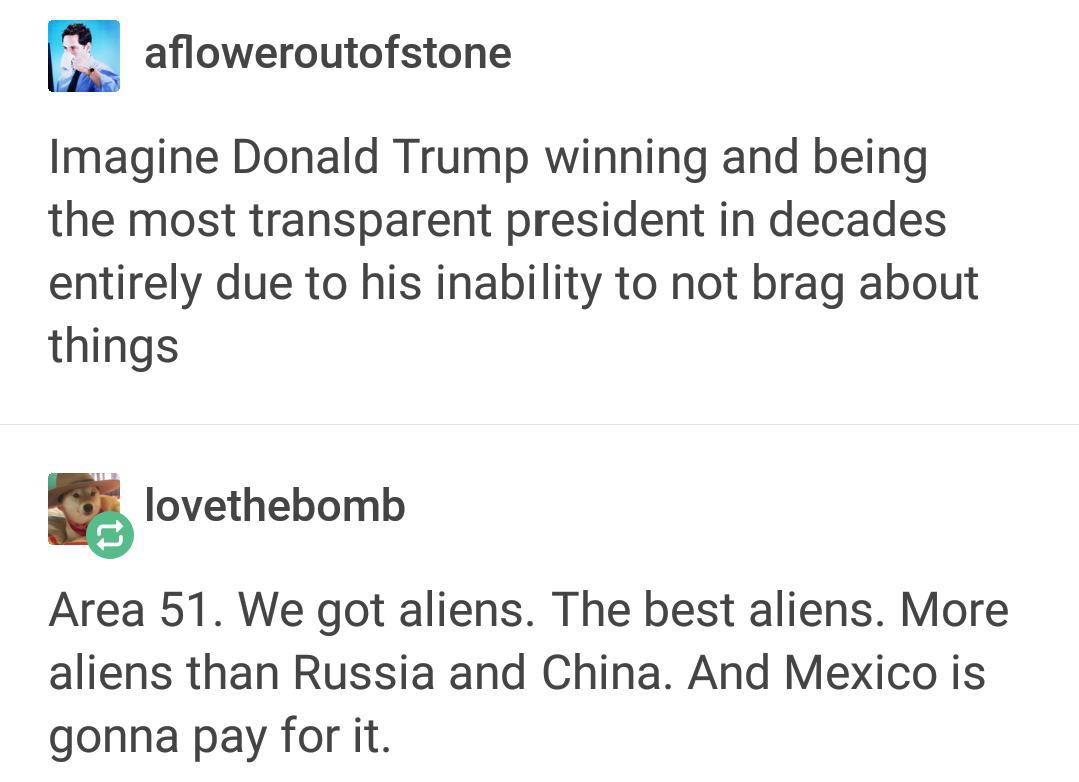 tumblr - mexico posts - afloweroutofstone Imagine Donald Trump winning and being the most transparent president in decades entirely due to his inability to not brag about things lovethebomb Area 51. We got aliens. The best aliens. More aliens than Russia 