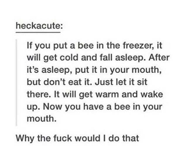 tumblr - get a bee in your mouth - heckacute If you put a bee in the freezer, it will get cold and fall asleep. After it's asleep, put it in your mouth, but don't eat it. Just let it sit there. It will get warm and wake up. Now you have a bee in your mout