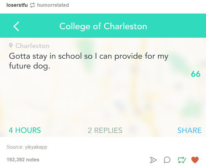 tumblr - website - loserstfu humorrelated College of Charleston Charleston Gotta stay in school so I can provide for my future dog. 66 4 Hours 2 Replies Source yikyakapp 193,392 notes