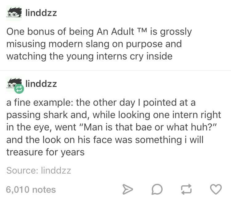 tumblr - document - linddzz One bonus of being An Adult Tm is grossly misusing modern slang on purpose and watching the young interns cry inside linddzz a fine example the other day I pointed at a passing shark and, while looking one intern right in the e