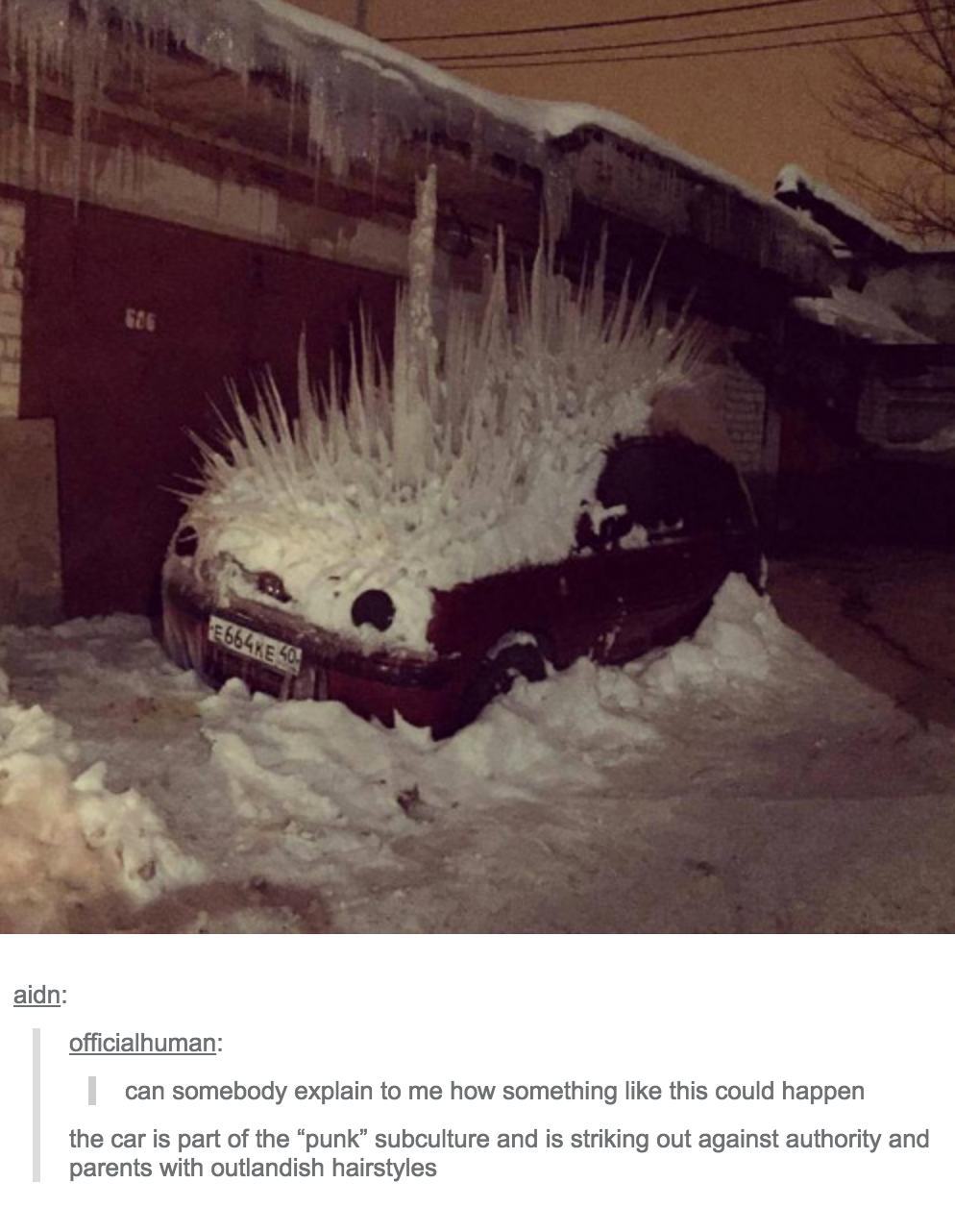 tumblr - punk tumblr posts - See F664 E 40 aidn officialhuman I can somebody explain to me how something this could happen the car is part of the punk" subculture and is striking out against authority and parents with outlandish hairstyles