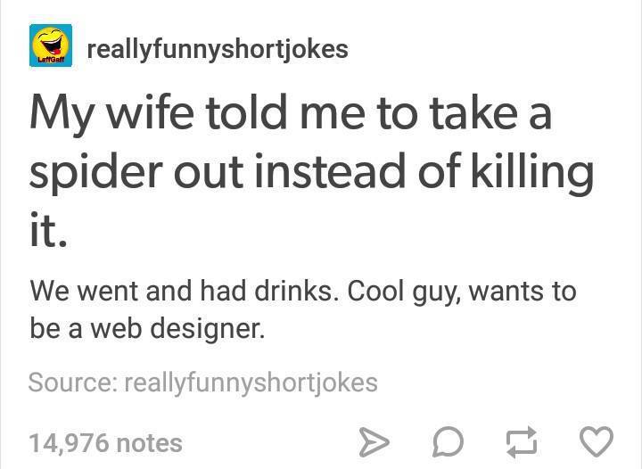 tumblr - Mathematics - reallyfunnyshortjokes My wife told me to take a spider out instead of killing We went and had drinks. Cool guy, wants to be a web designer. Source reallyfunnyshortjokes 14,976 notes