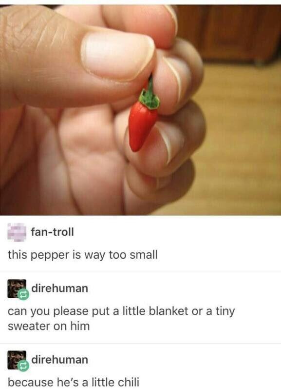 tumblr - lil chili - fantroll this pepper is way too small direhuman can you please put a little blanket or a tiny sweater on him direhuman because he's a little chili