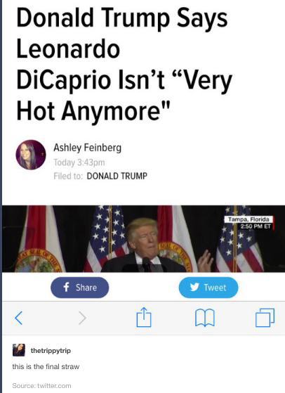 tumblr - florida twitter memes - Donald Trump Says Leonardo DiCaprio Isn't Very Hot Anymore" Ashley Feinberg Today 3.43pm Filed to Donald Trump Tampa, Florida Et f Tweet thetrippytrip this is the final straw Source twitter.com