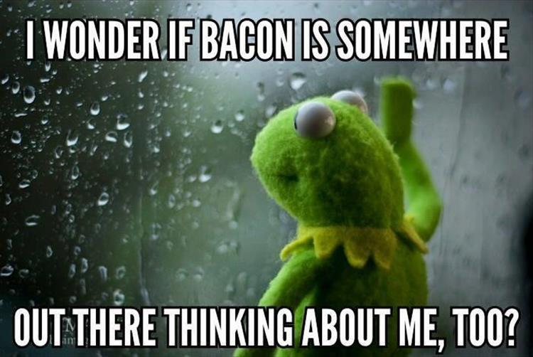 random pic he doesn t text you all day meme - "I Wonder.If Bacon Is Somewhere Out There Thinking About Me, Too?