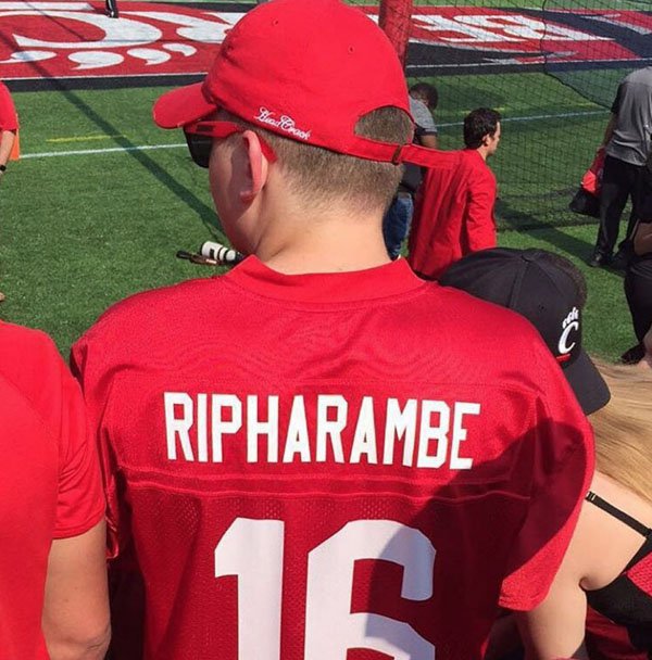 random pic jersey - Ripharambe