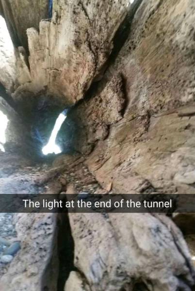 funny tunnel - The light at the end of the tunnel