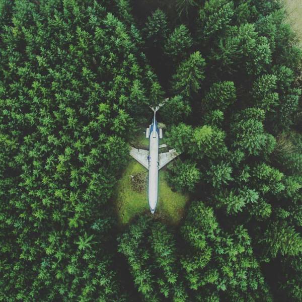 random pic forest airplane