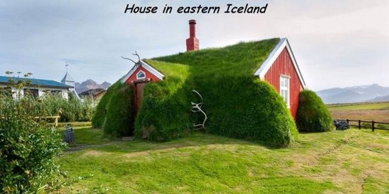 random pic house covered with grass - House in eastern Iceland