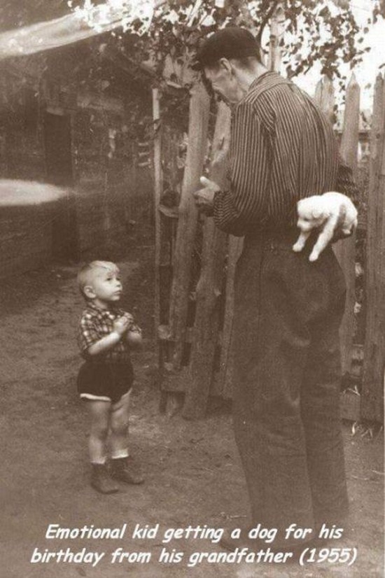 random pic moments before happiness - Emotional kid getting a dog for his birthday from his grandfather 1955