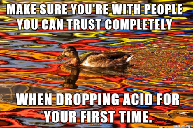 dropping acid meme - Make Sure You'Re With People You Can Trust Completely When Dropping Acid For Your First Time. made on imgur