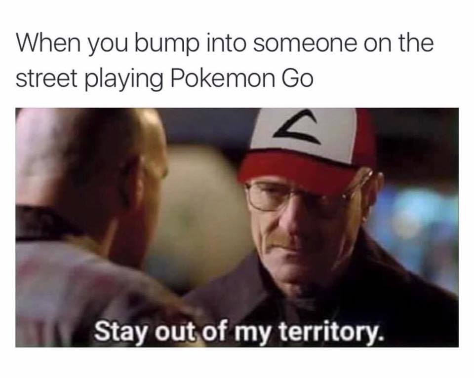 bad pokemon go memes - When you bump into someone on the street playing Pokemon Go Stay out of my territory.