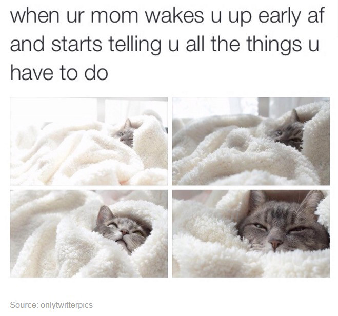 Maternal insult - when ur mom wakes u up early af and starts telling u all the things u have to do Source onlytwitterpics