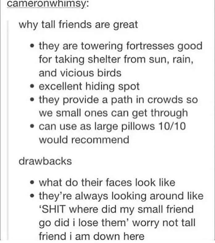 worry not tall friend - cameronwhimsy why tall friends are great they are towering fortresses good for taking shelter from sun, rain, and vicious birds excellent hiding spot they provide a path in crowds so we small ones can get through can use as large p