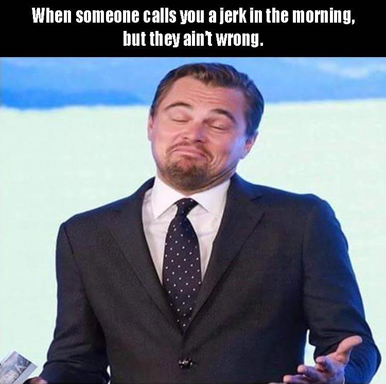 random pic someone calls you a bitch - When someone calls you a jerk in the morning, but they ain't wrong.