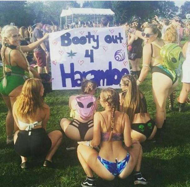 booty out for harambe - Booty out Hermes