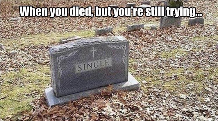 give up meme - When you died, but you're still trying... Single