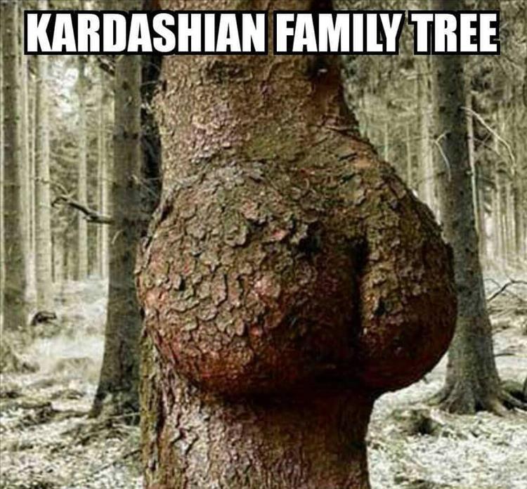 kim kardashian family tree funny - Kardashian Family Tree