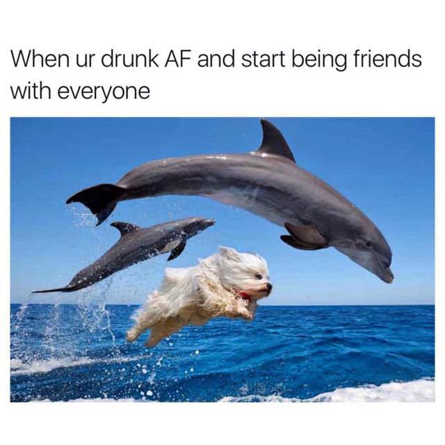 wenn du dich besoffen mit jedem anfreundest - When ur drunk Af and start being friends with everyone