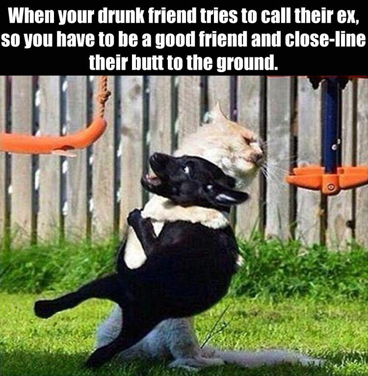 hitman cat gets no joy - When your drunk friend tries to call their ex, so you have to be a good friend and closeline their butt to the ground.