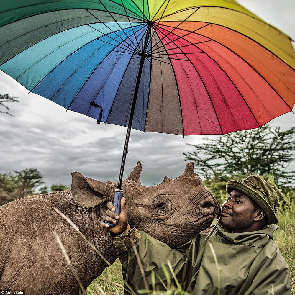 46 Beautiful Pics To Soothe The Soul