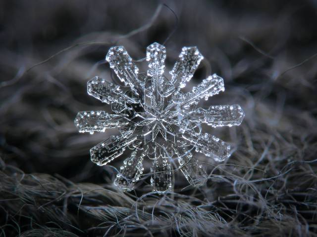 snowflake photography