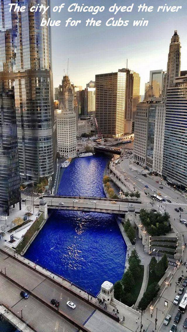 dying the chicago river blue - The city of Chicago dyed the river blue for the Cubs win Chamarreras Unite The Irma 4