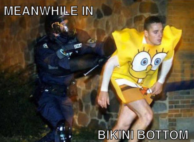 funny drug bust meme - Meanwhile In Bikini Bottom