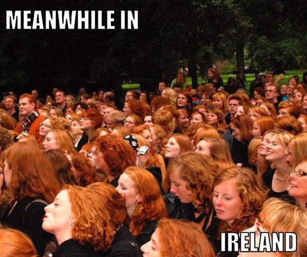 meanwhile in iteland - Meanwhile In Ireland