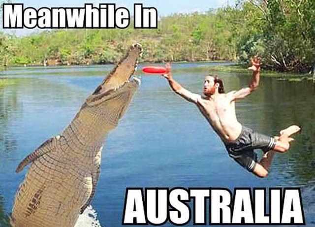 meanwhile in australia - Meanwhile In Australia