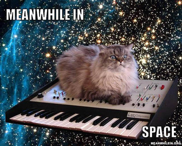 cat on a keyboard in space - Meanwhile In Space Meanwhilein.Org